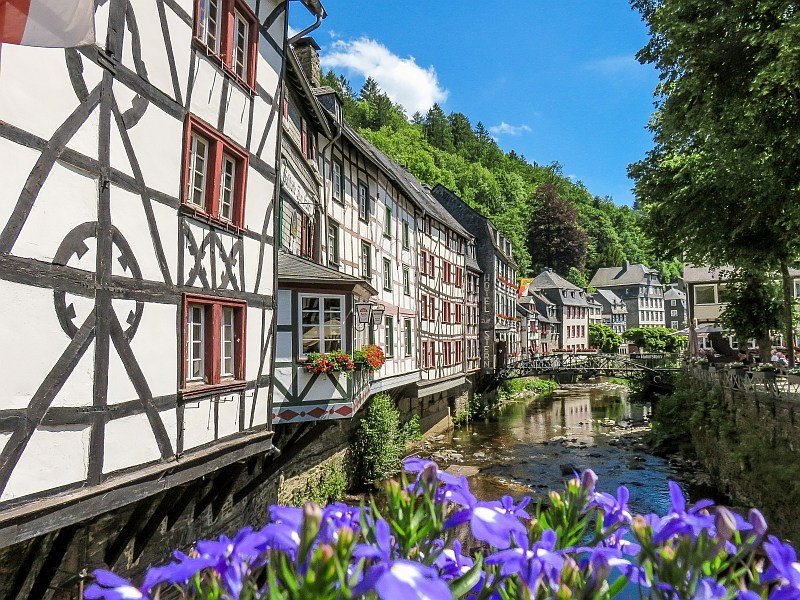 blue flowers in the foreground with half-timbered houses along a river and blue sky above, Monschau in Germany