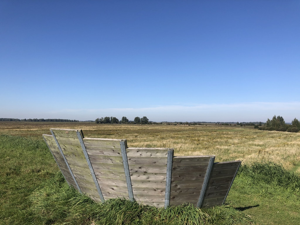 a bench at Lauwersmeer National Park