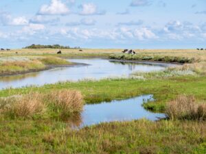 Schiermonnikoog national park in the Netherlands