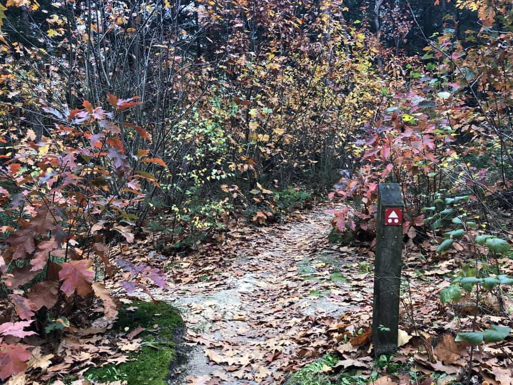 a narrow bike path suitable for mountain biking in the autumn and a sign pole with a plate indicating the path
