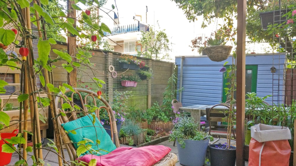 a small yard with chairs with colorful cushions and lots of plants in bloom in different colors; Hostel Ani&Haakien backyard - one of the best hostels to stay in Rotterdam
